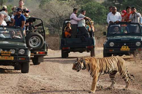 8 Days Golden Triangle Tour with Ranthambore