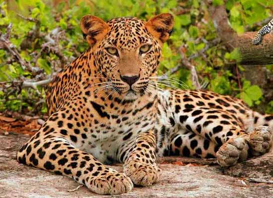 Delhi, Agra and Jaipur - 3 Days Golden Triangle Tour