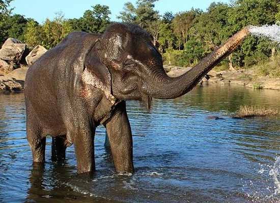 Golden Triangle Tour with Akshardham Temple - Delhi Agra Jaipur Tour With Taj 