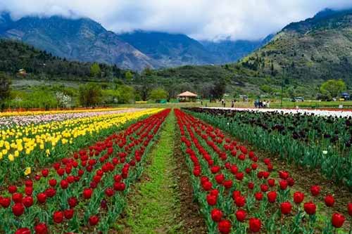 Kashmir Tour Package 04 Days