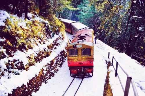 Delhi Shimla Kullu Manali Chandigarh Tour