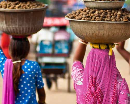 India Tailor Made Tour Package 2026