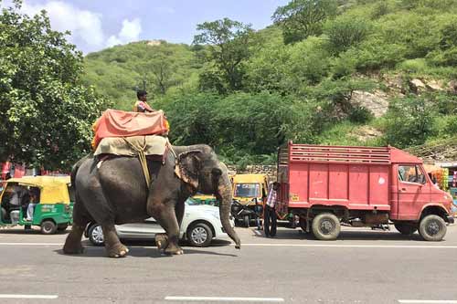 999 + Rajasthan Budget Tours Packages, Chardham Yatra ,   Chardham