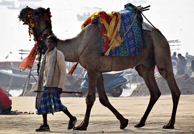 3 Days Jaisalmer Desert City Tour